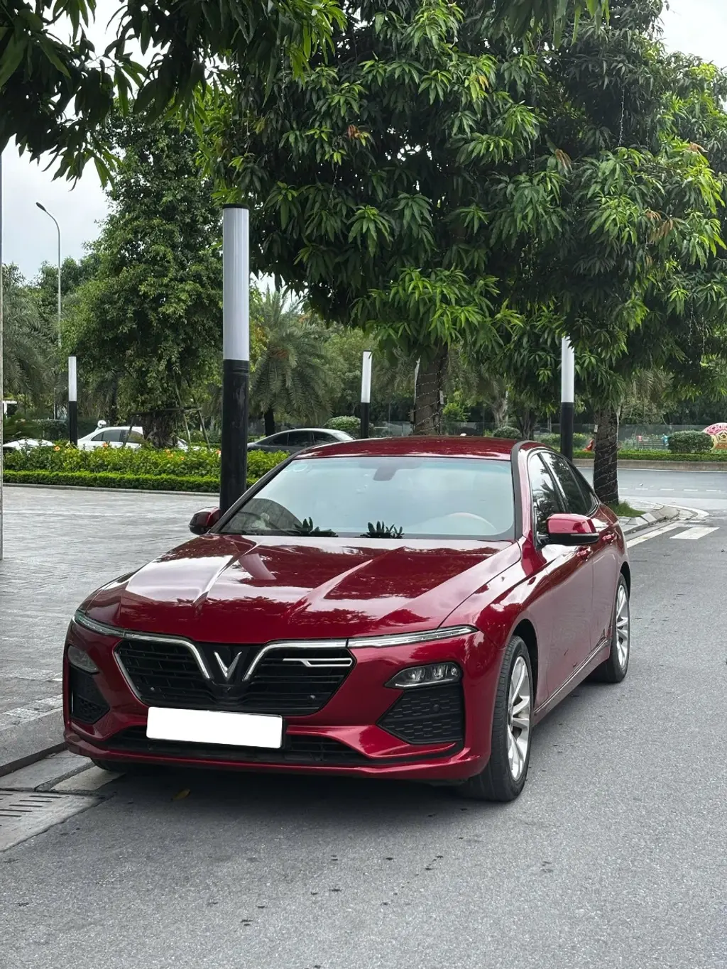Hình ảnh số 3
