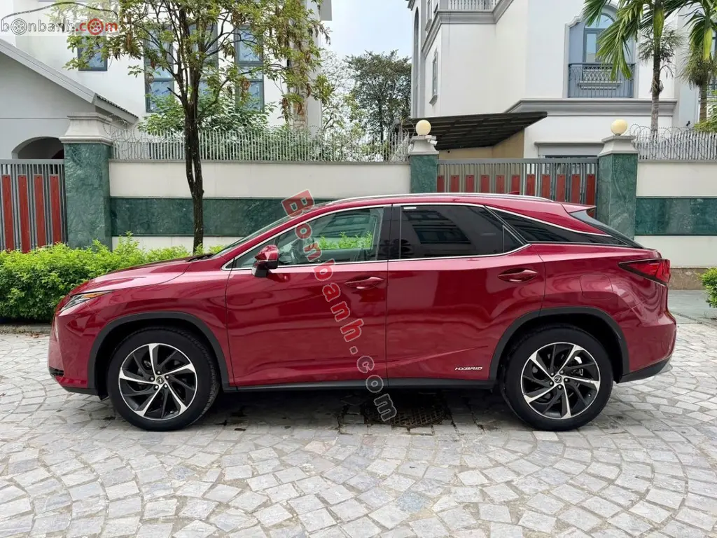 Hình ảnh số 3