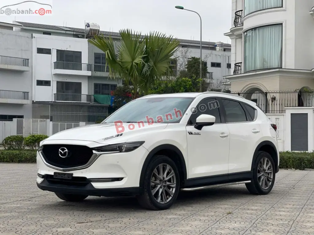 Hình ảnh số 2