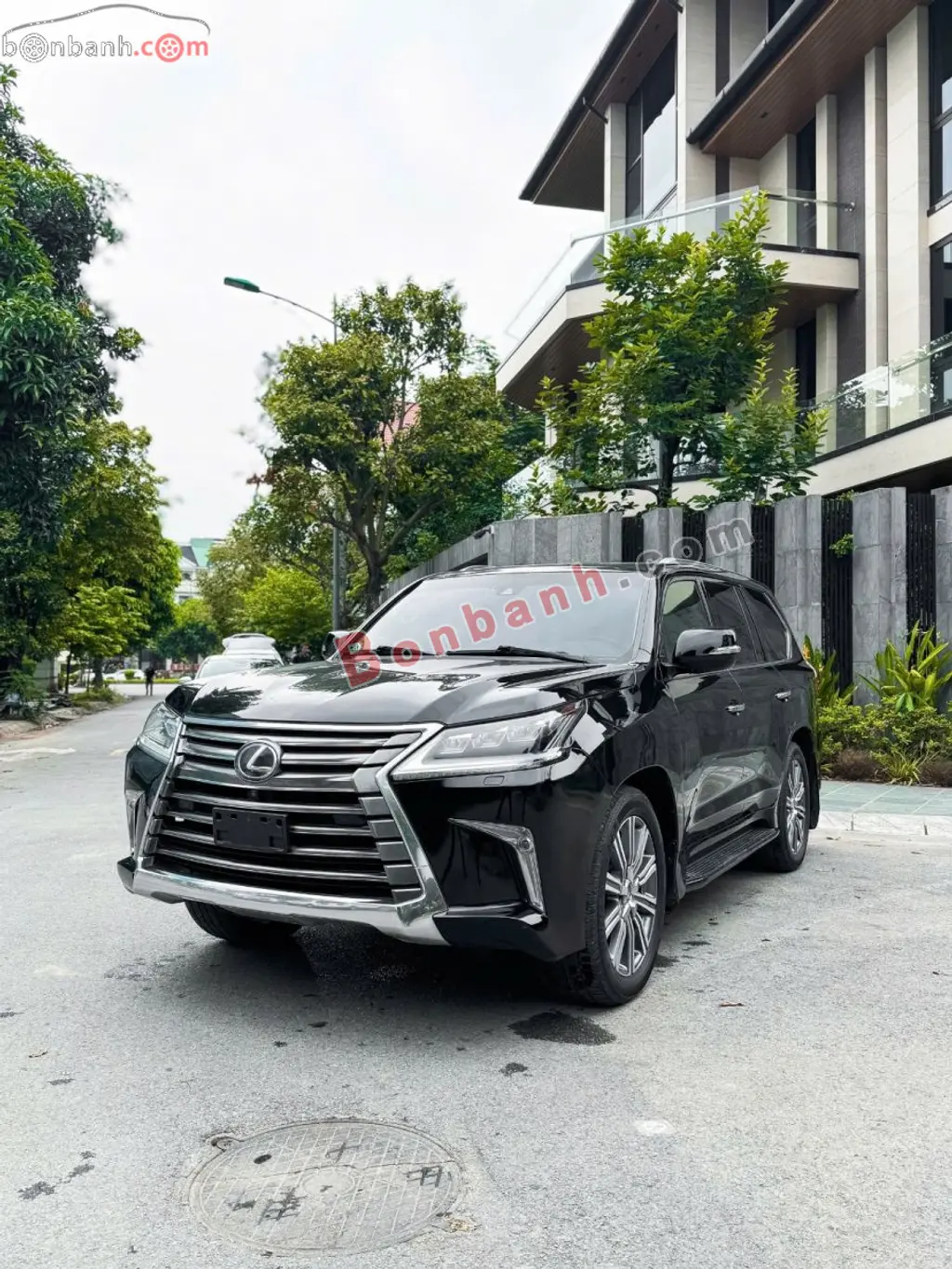 Hình ảnh số 2