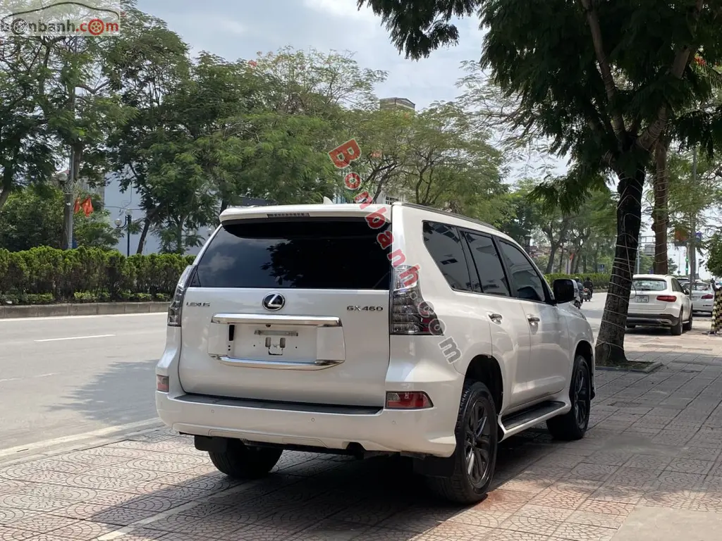 Hình ảnh số 6