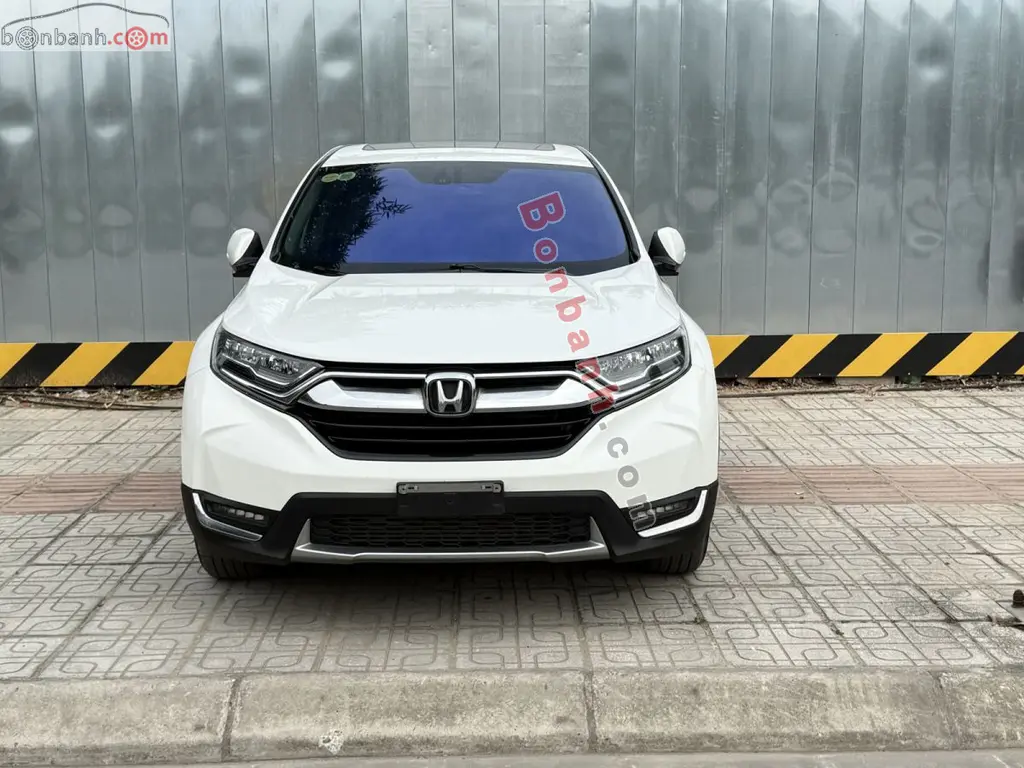 Hình ảnh số 2