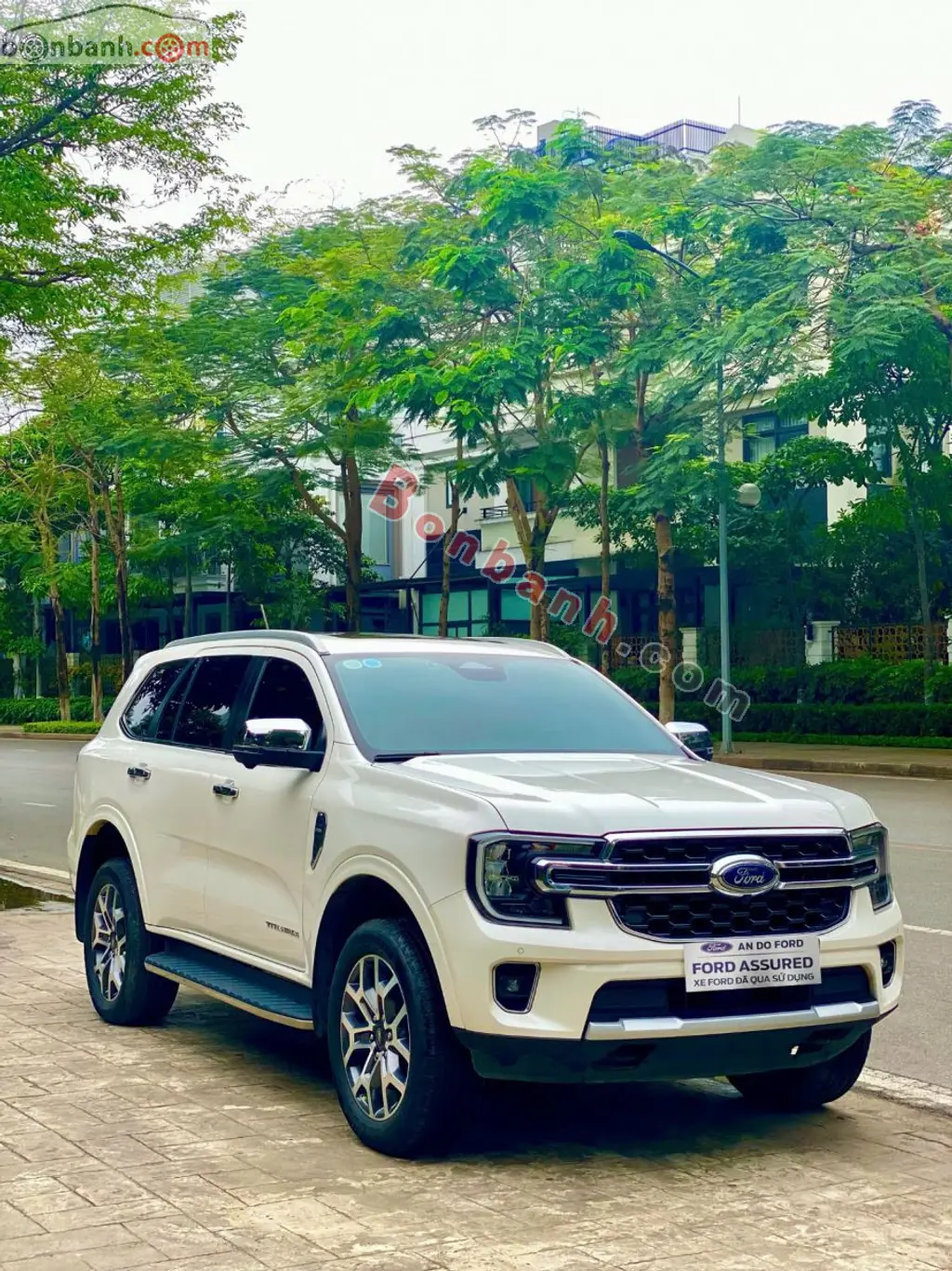Hình ảnh số 2