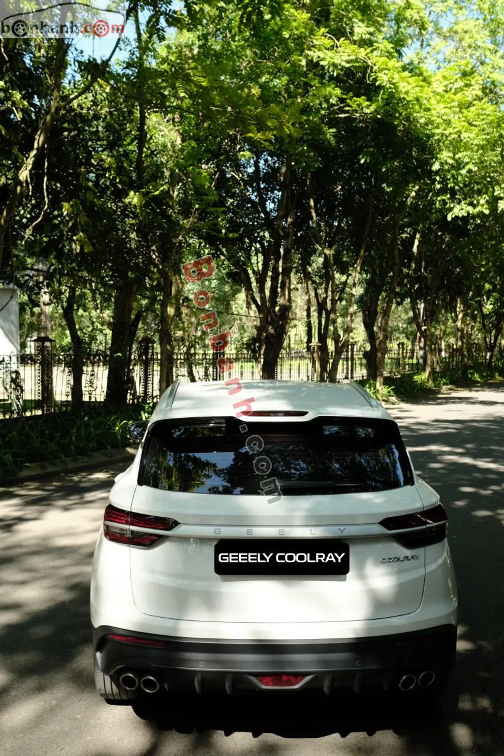 Hình ảnh số 2