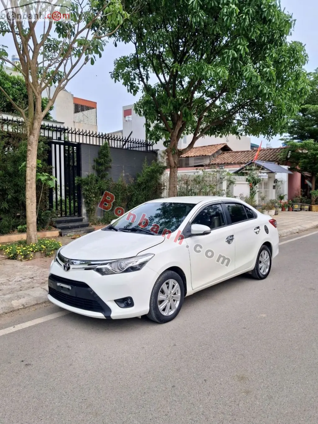 Hình ảnh số 2