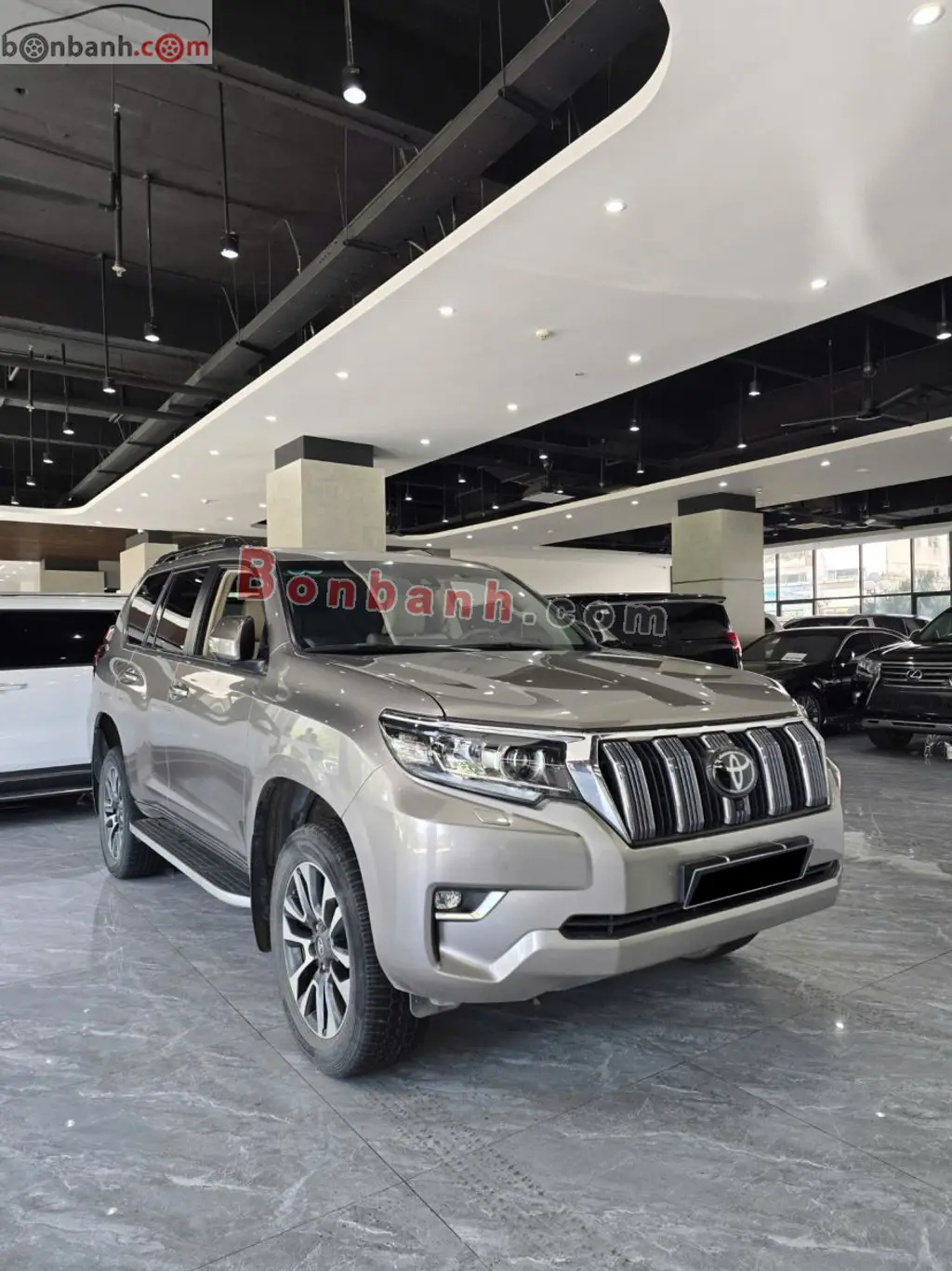 Hình ảnh số 2