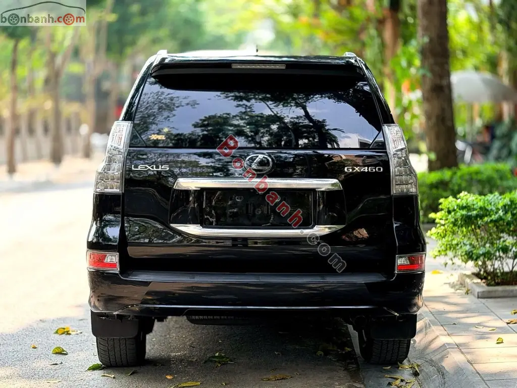 Hình ảnh số 4