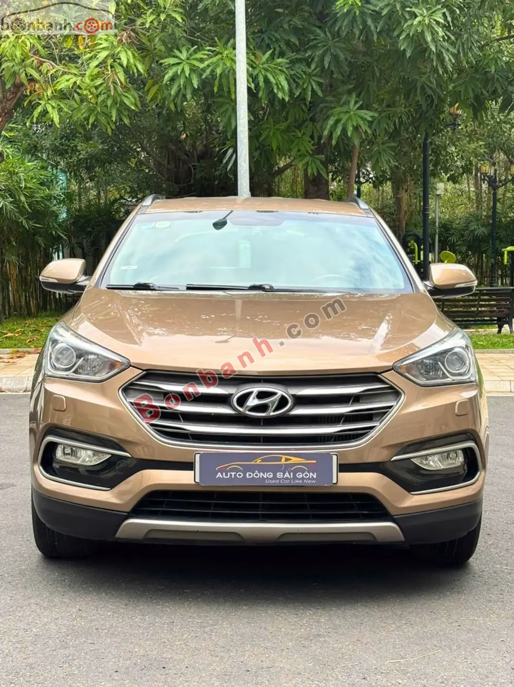 Hình ảnh số 2