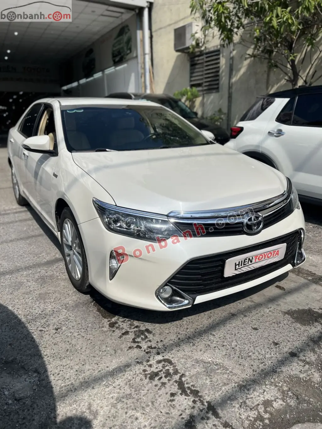 Hình ảnh số 2
