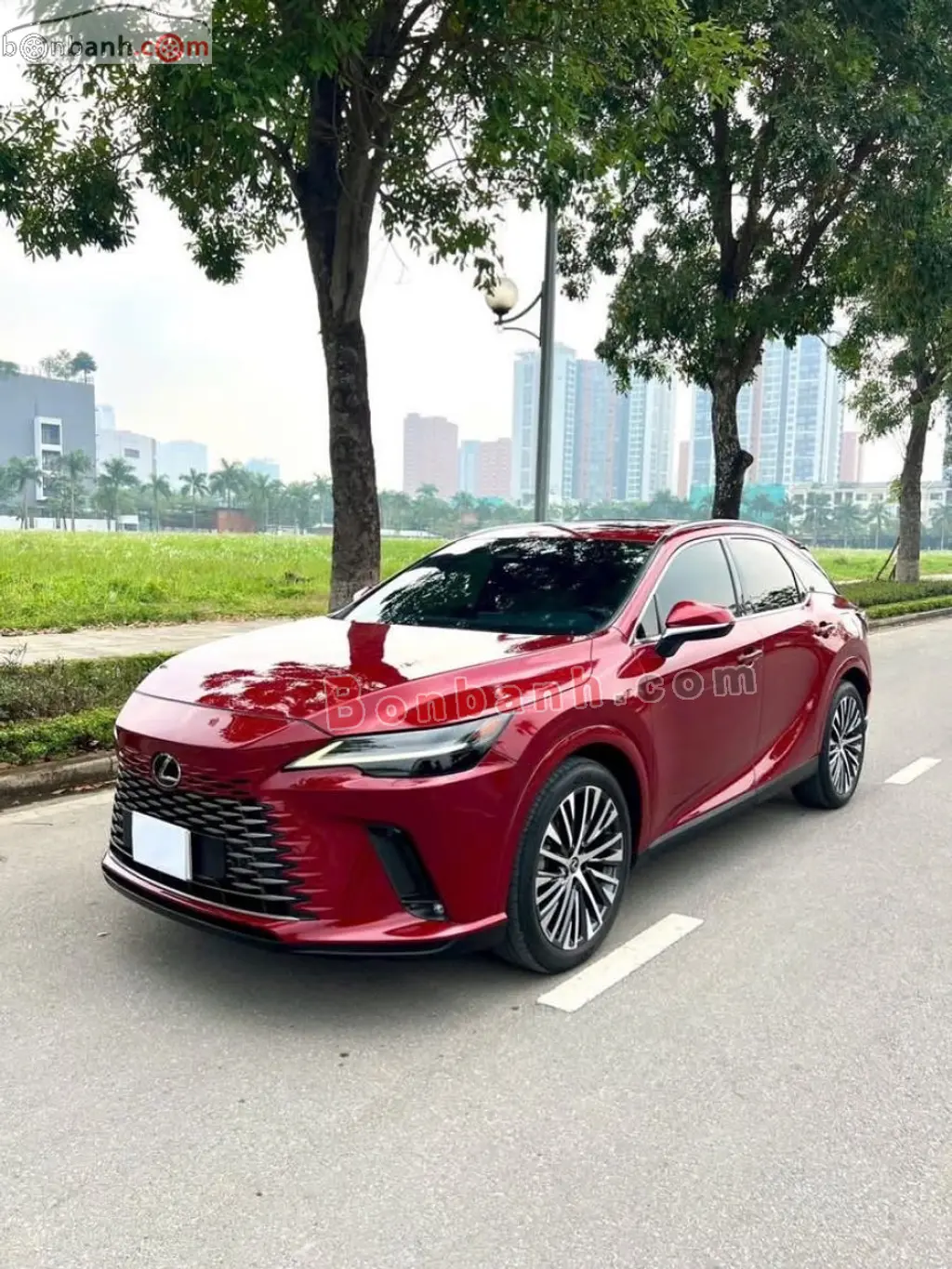 Hình ảnh số 2