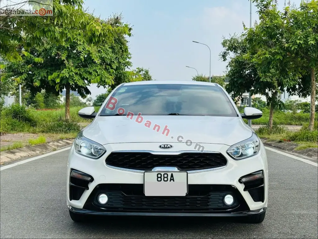 Hình ảnh số 2