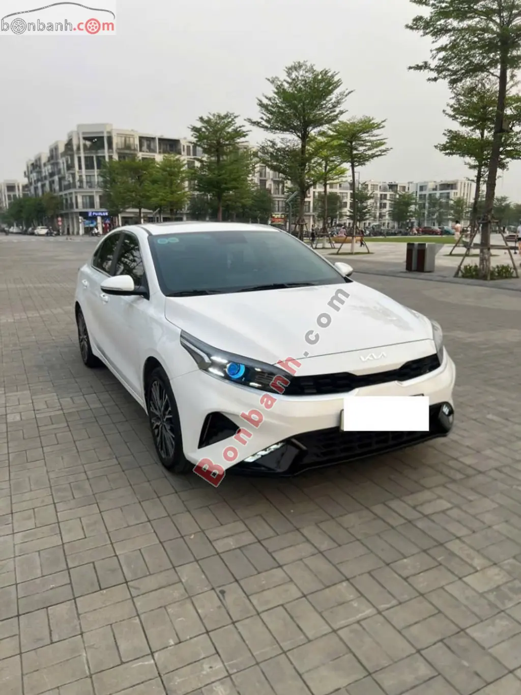 Hình ảnh số 2