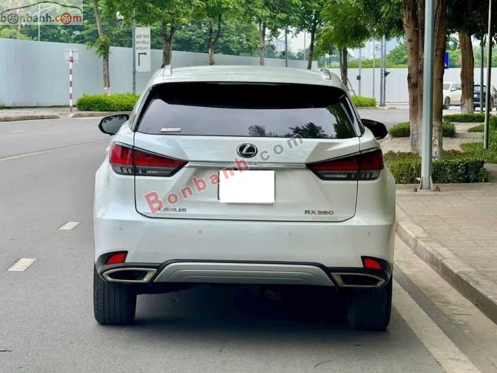 Hình ảnh số 5