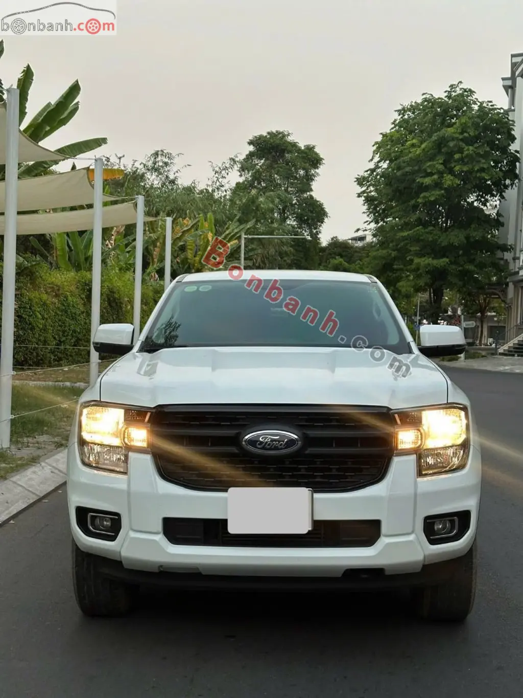 Hình ảnh số 3