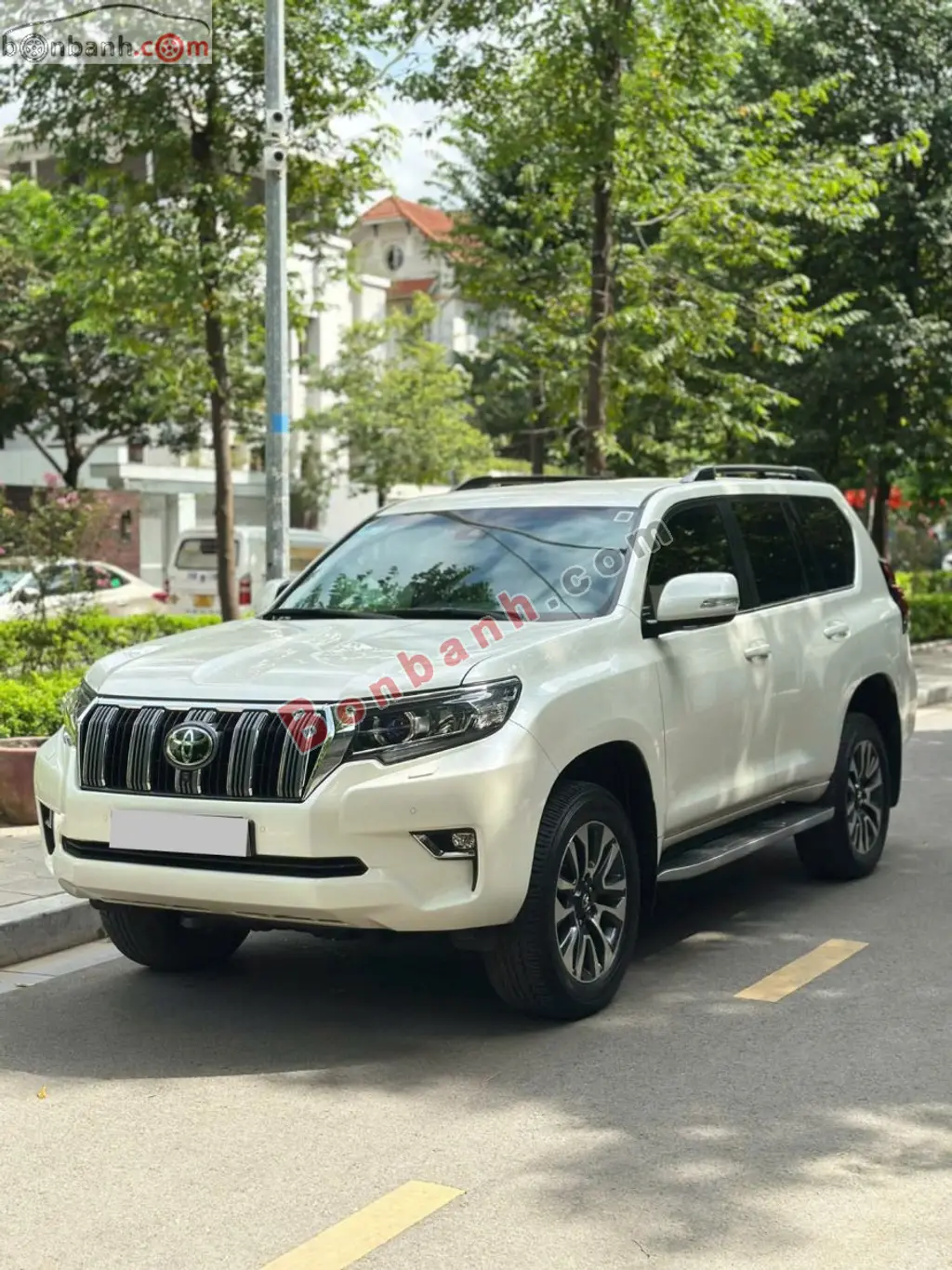 Hình ảnh số 2