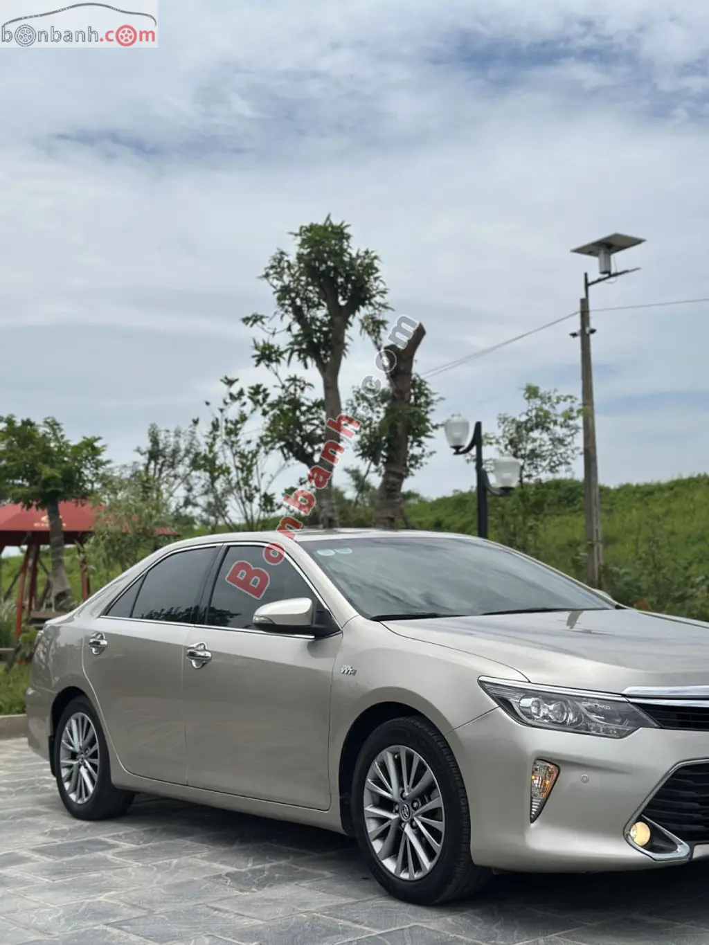 Hình ảnh số 3