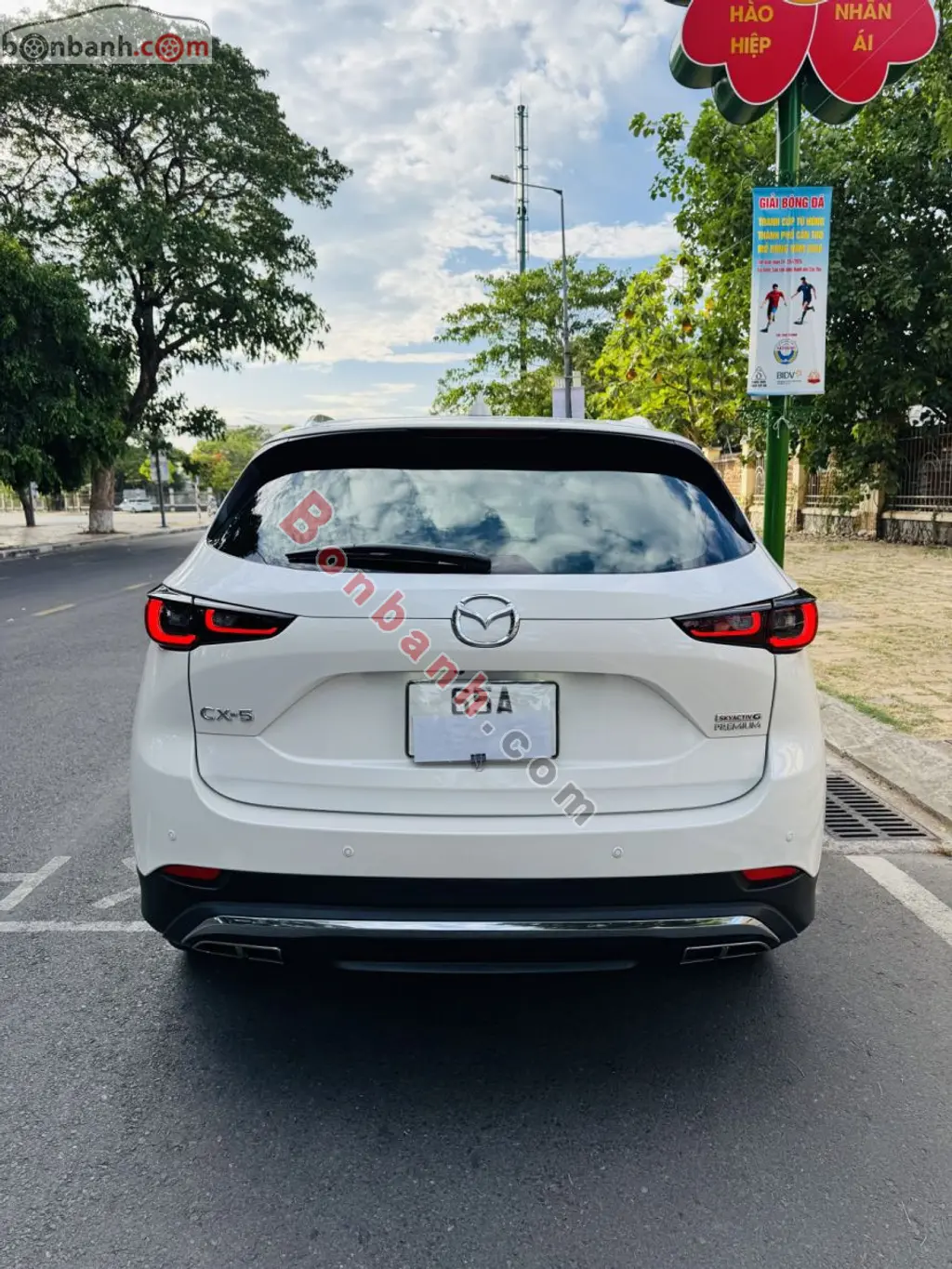 Hình ảnh số 3