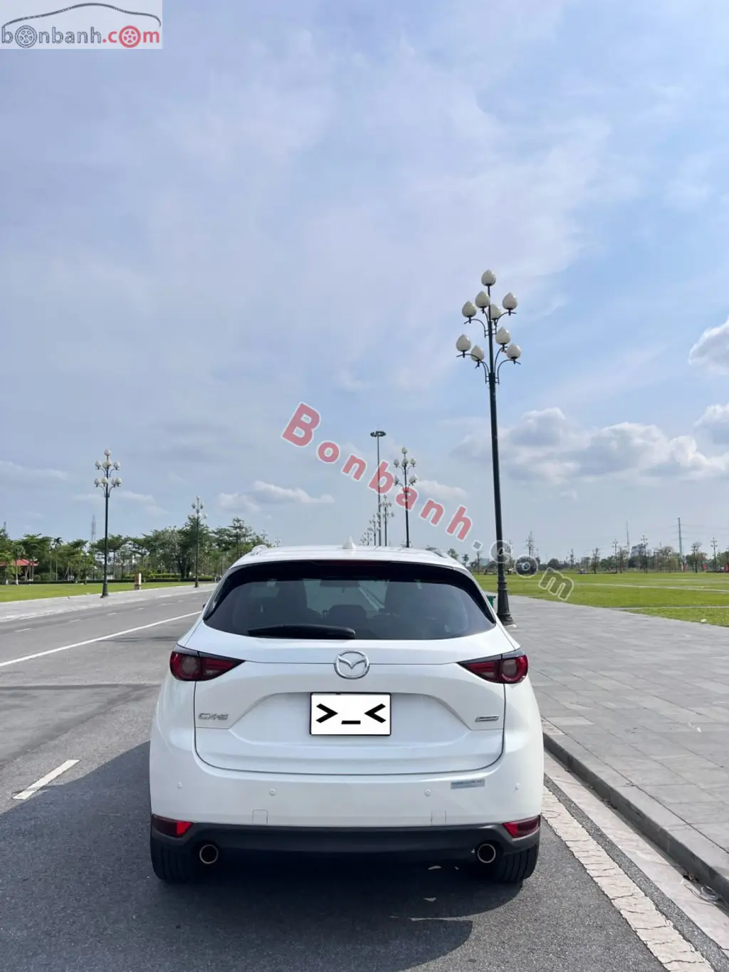 Hình ảnh số 7
