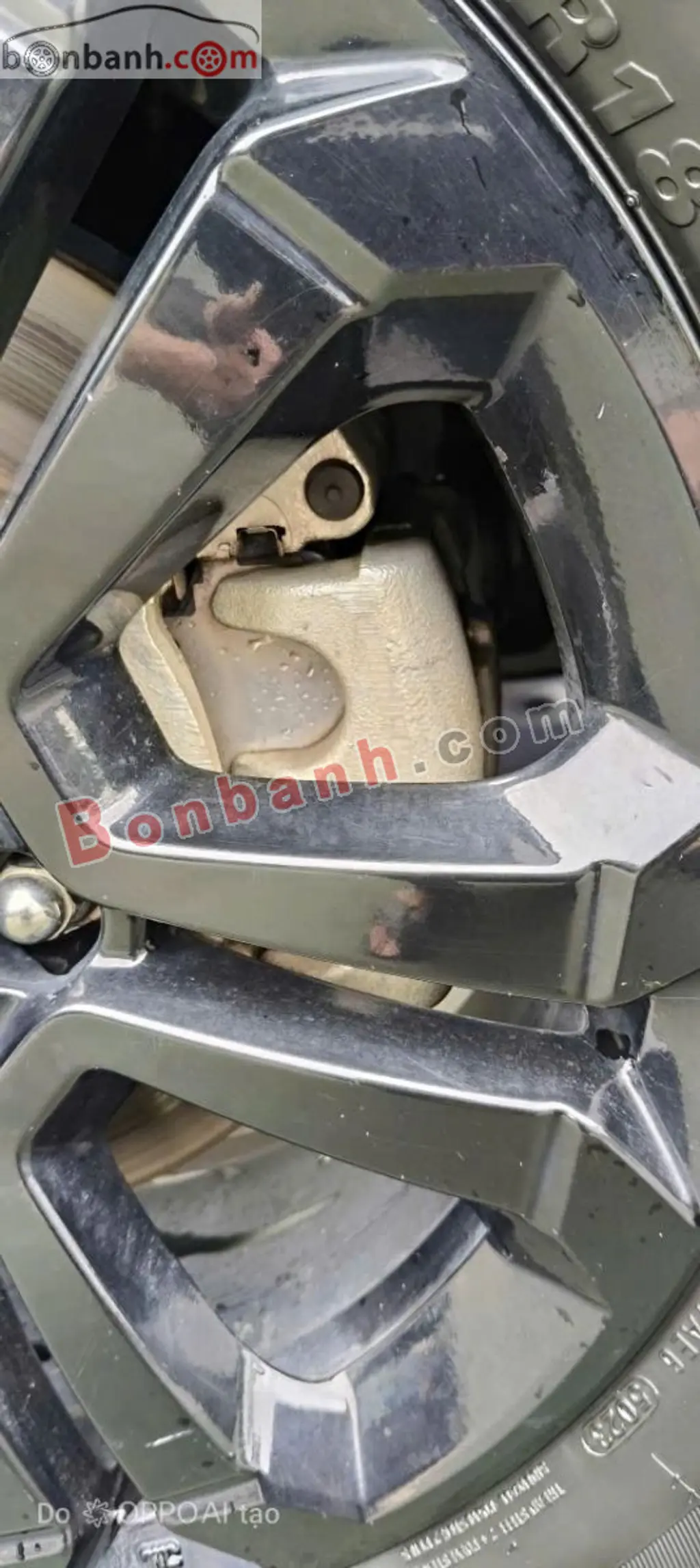 Hình ảnh số 8