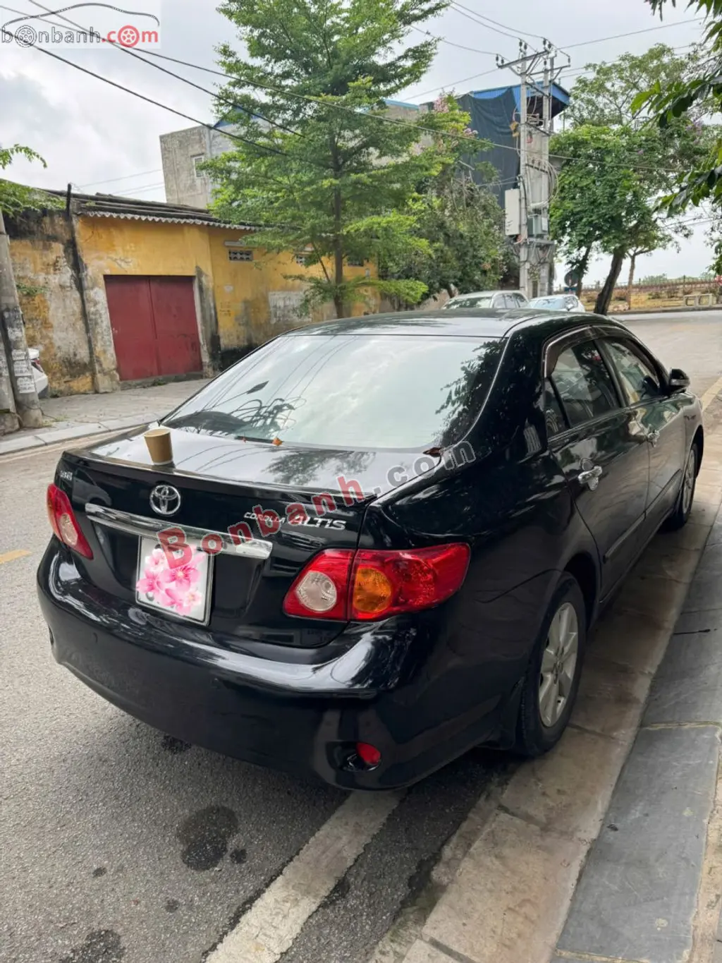 Hình ảnh số 2