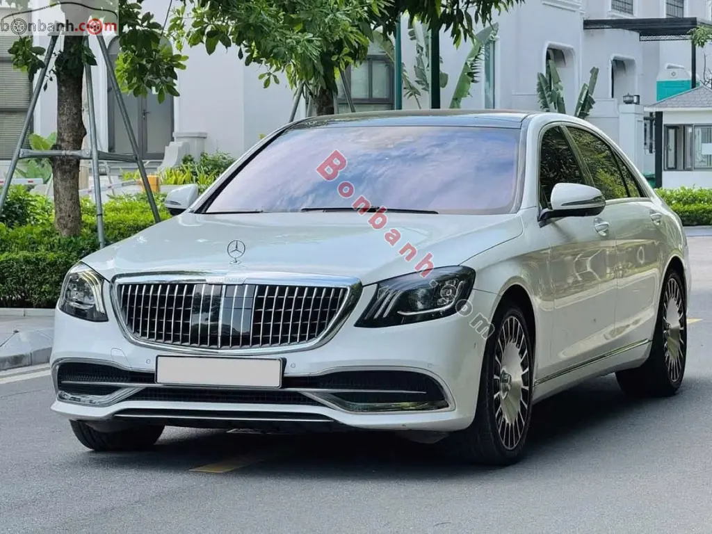 Hình ảnh số 2