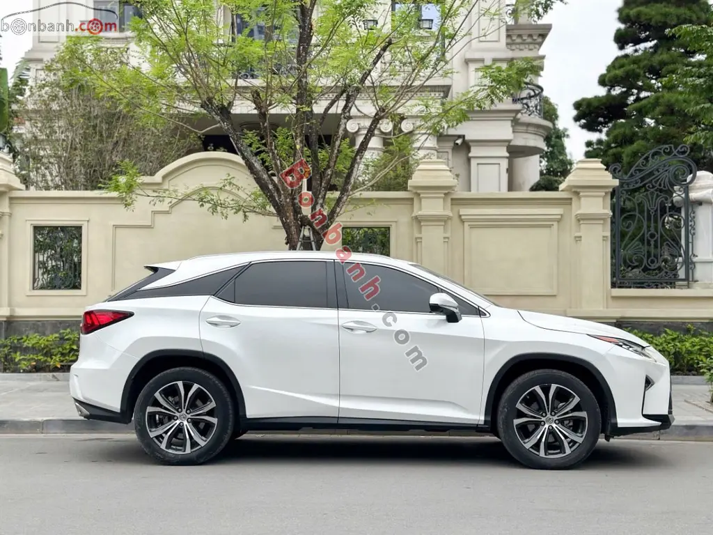 Hình ảnh số 5