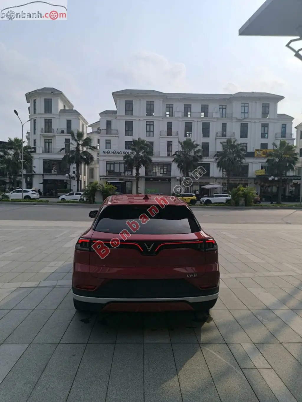 Hình ảnh số 6