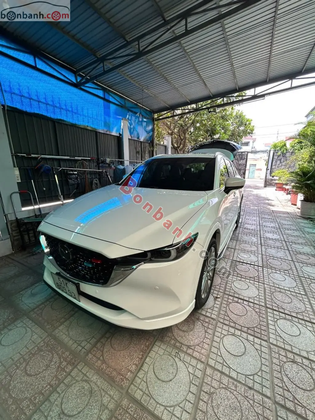 Hình ảnh số 3
