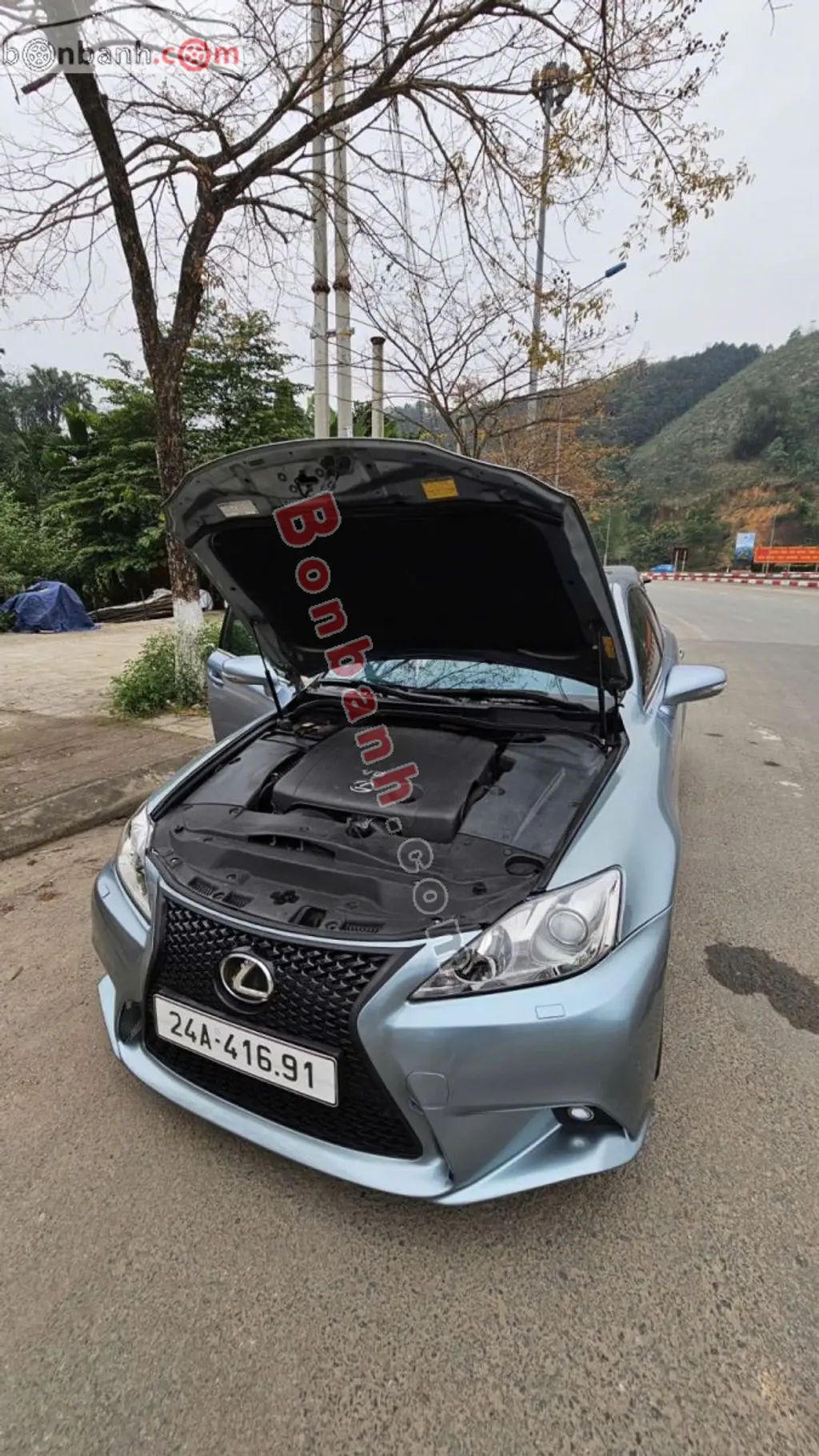 Hình ảnh số 8