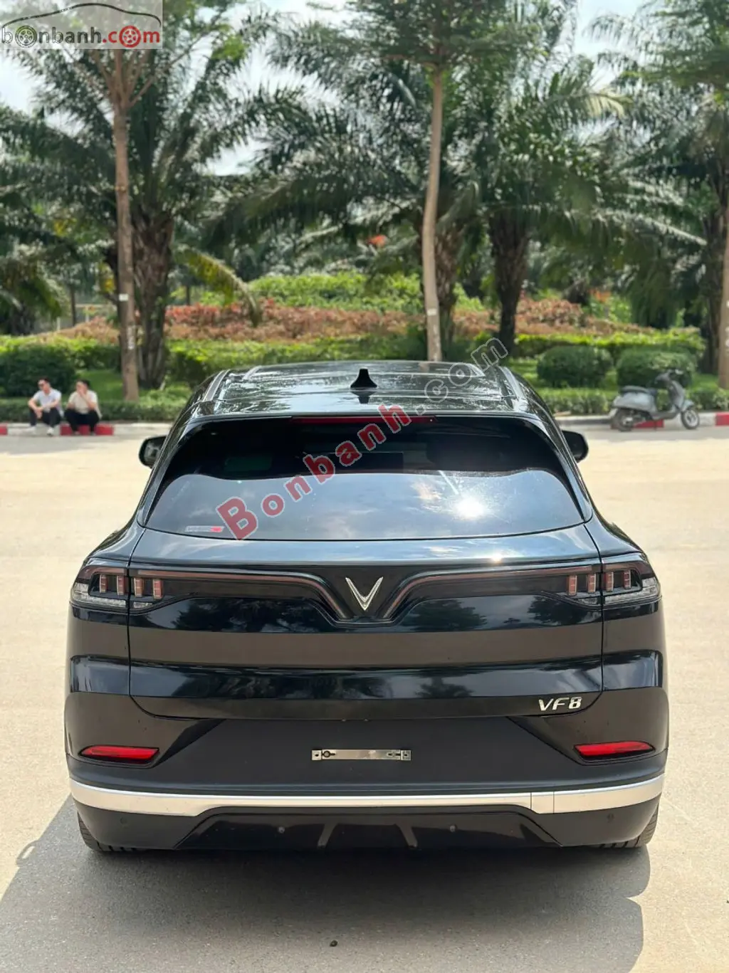 Hình ảnh số 5