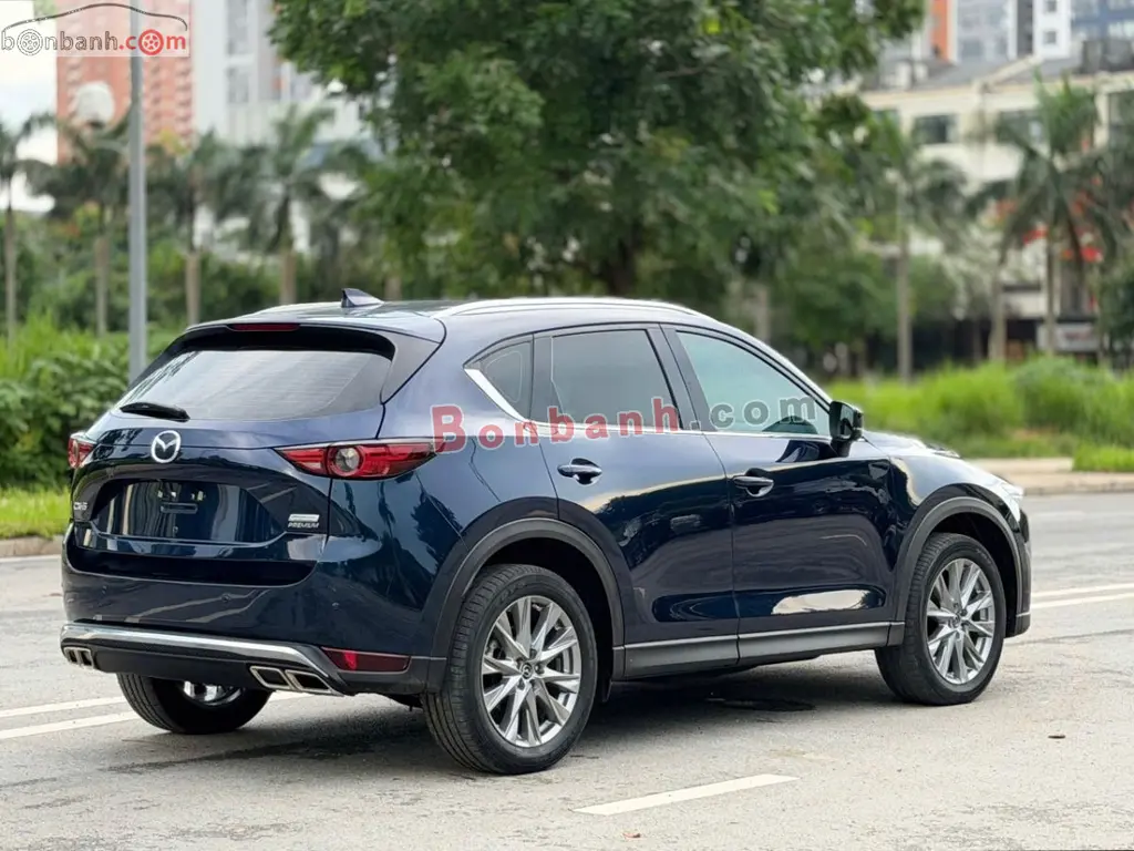 Hình ảnh số 2