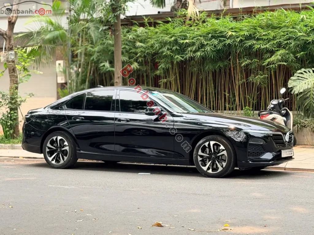 Hình ảnh số 2