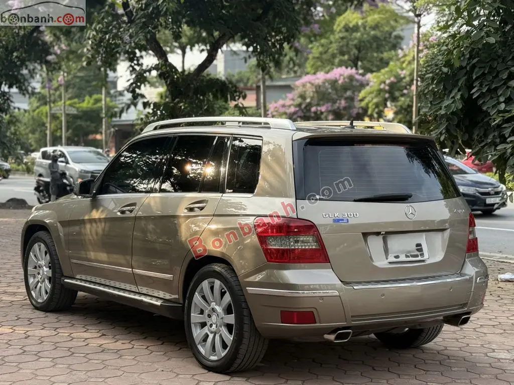 Hình ảnh số 3