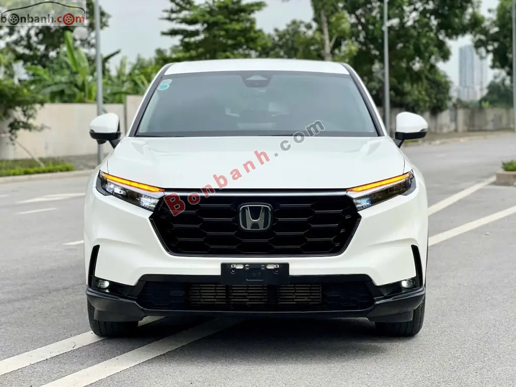 Hình ảnh số 2