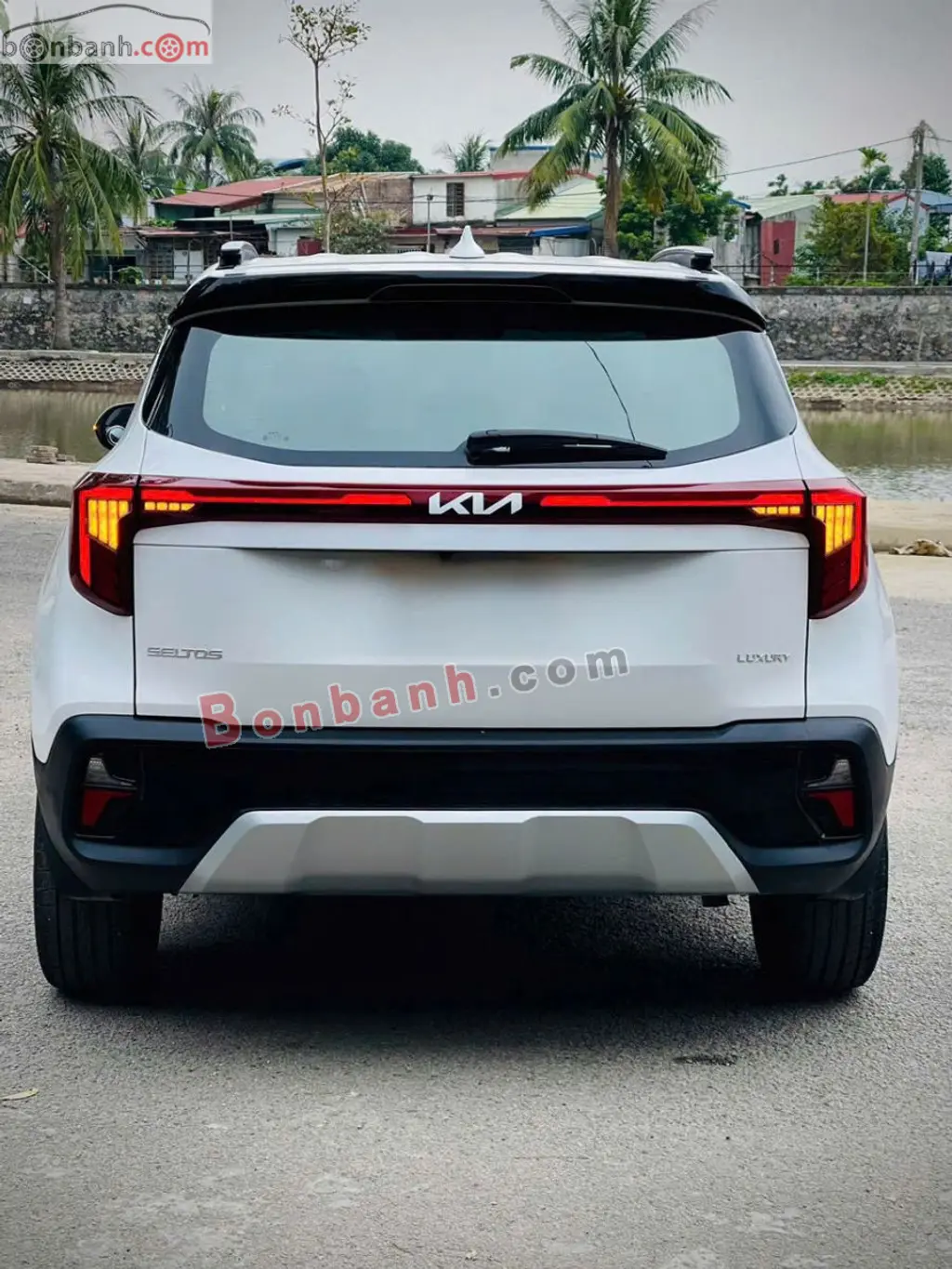 Hình ảnh số 4