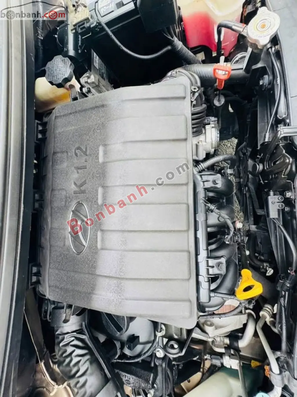 Hình ảnh số 10