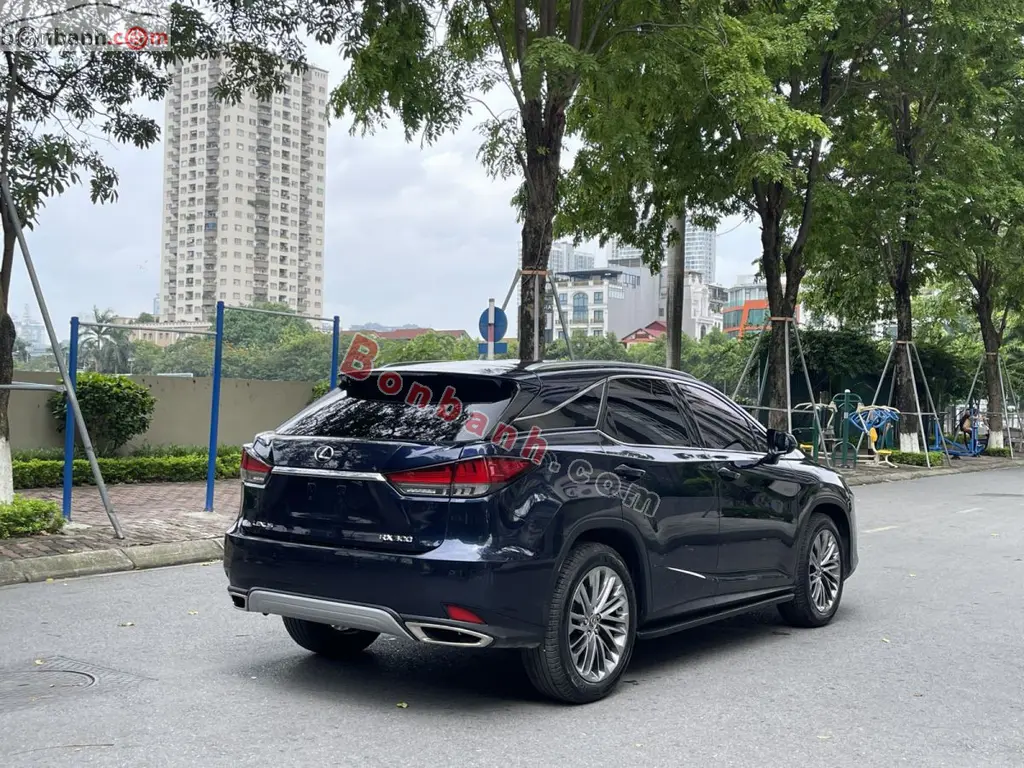Hình ảnh số 3
