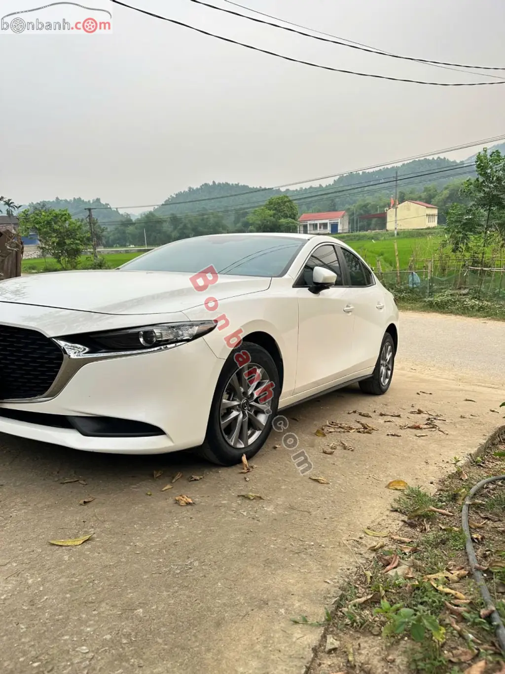 Hình ảnh số 2