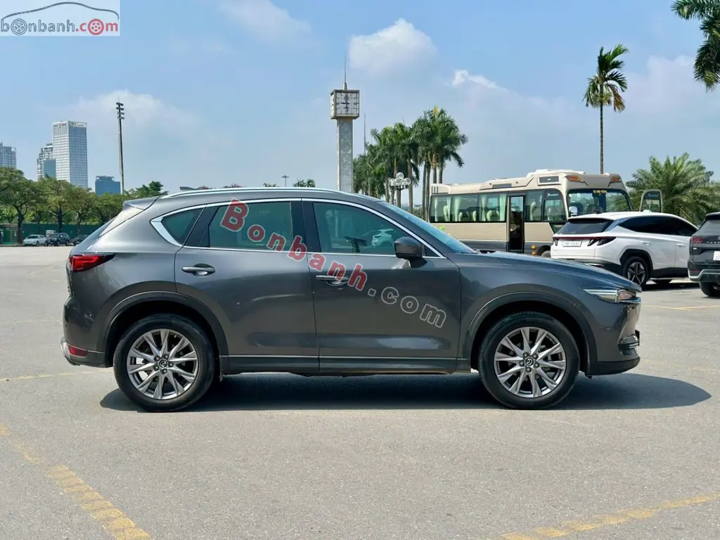 Hình ảnh số 2