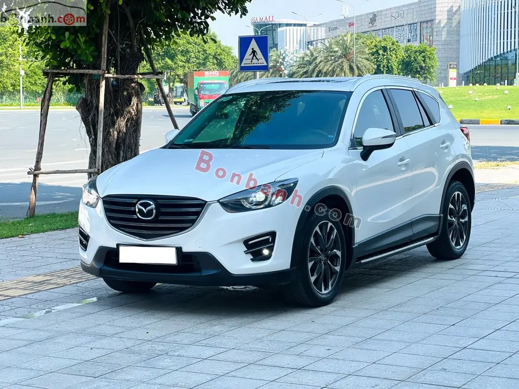 Hình ảnh số 2