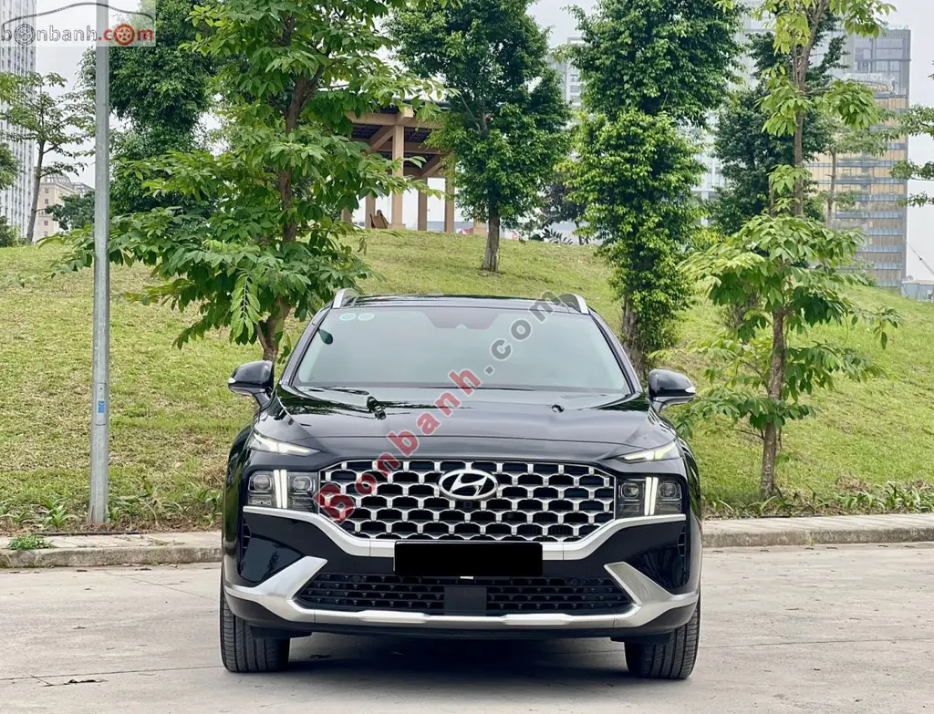 Hình ảnh số 2