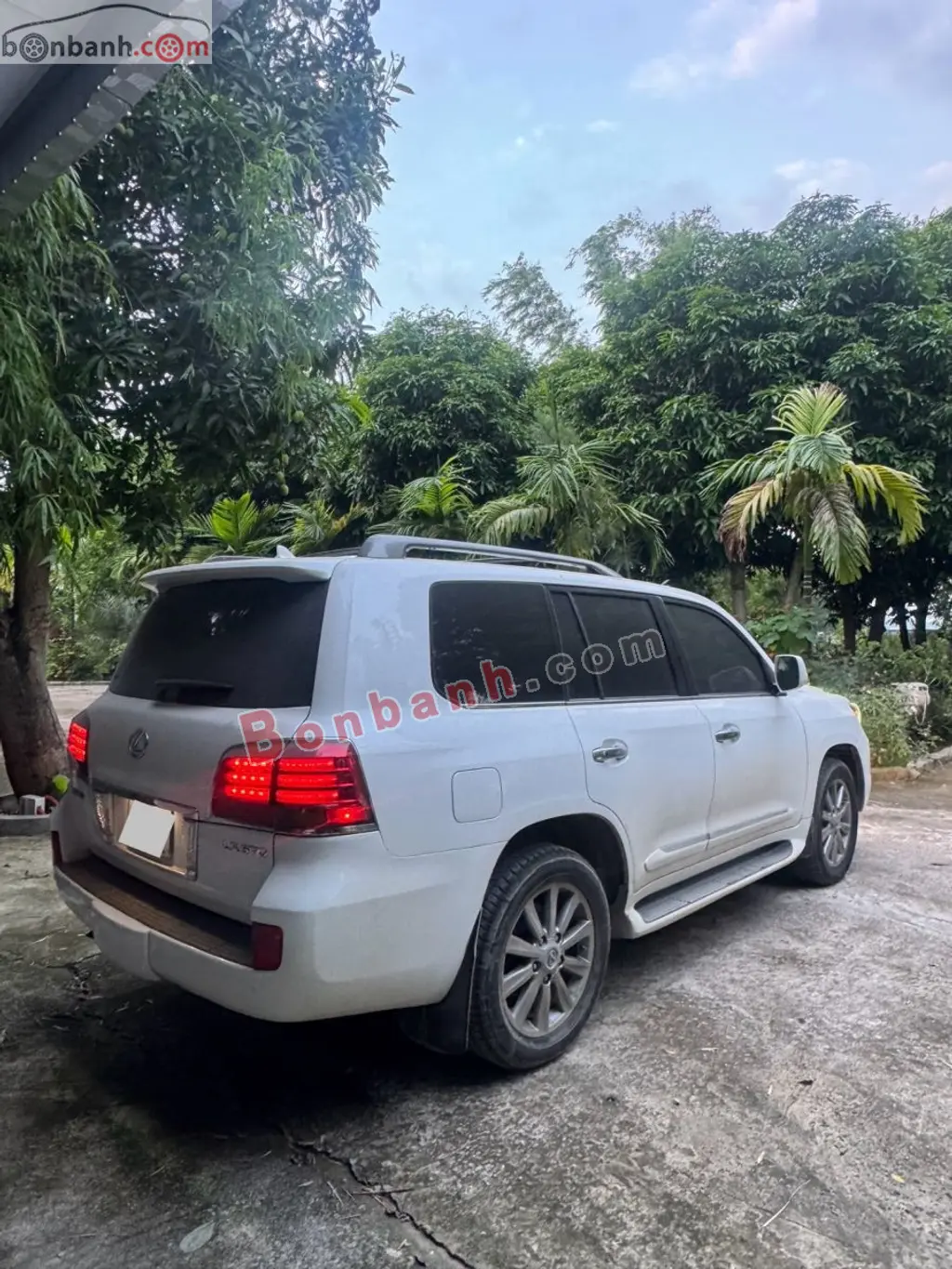 Hình ảnh số 3