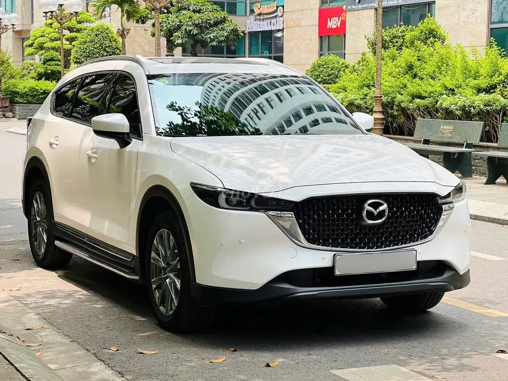 Hình ảnh số 2