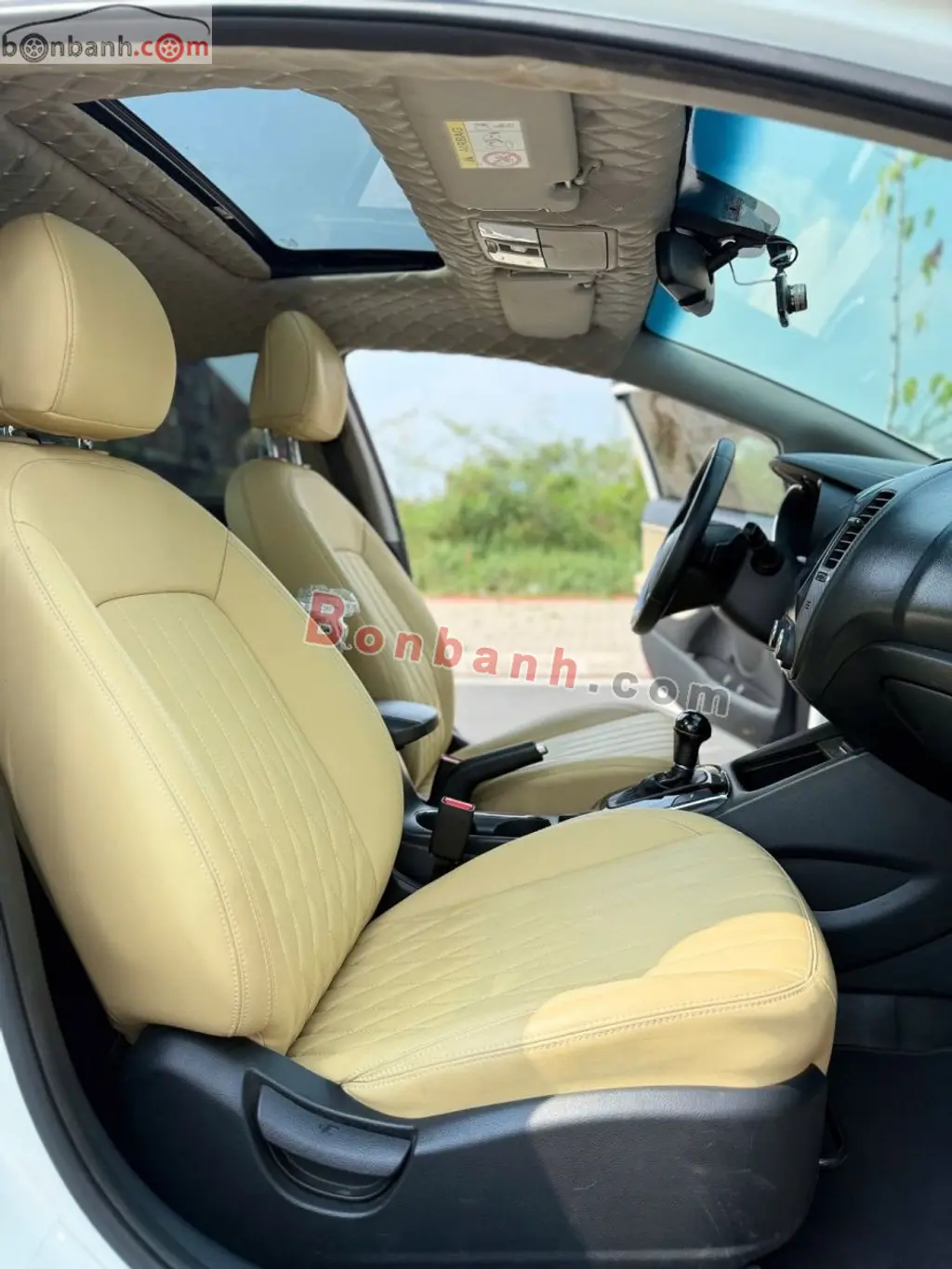 Hình ảnh số 8