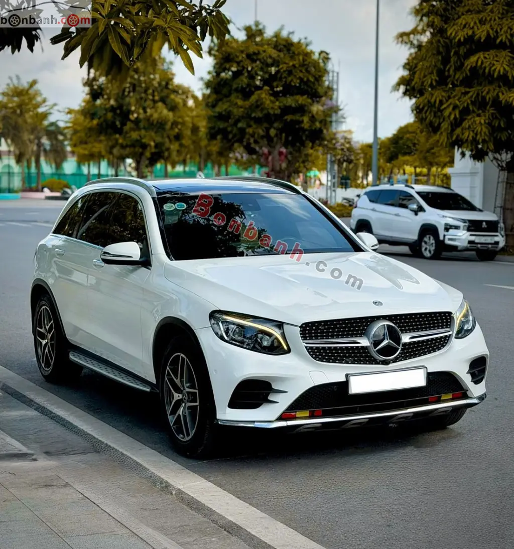 Hình ảnh số 2