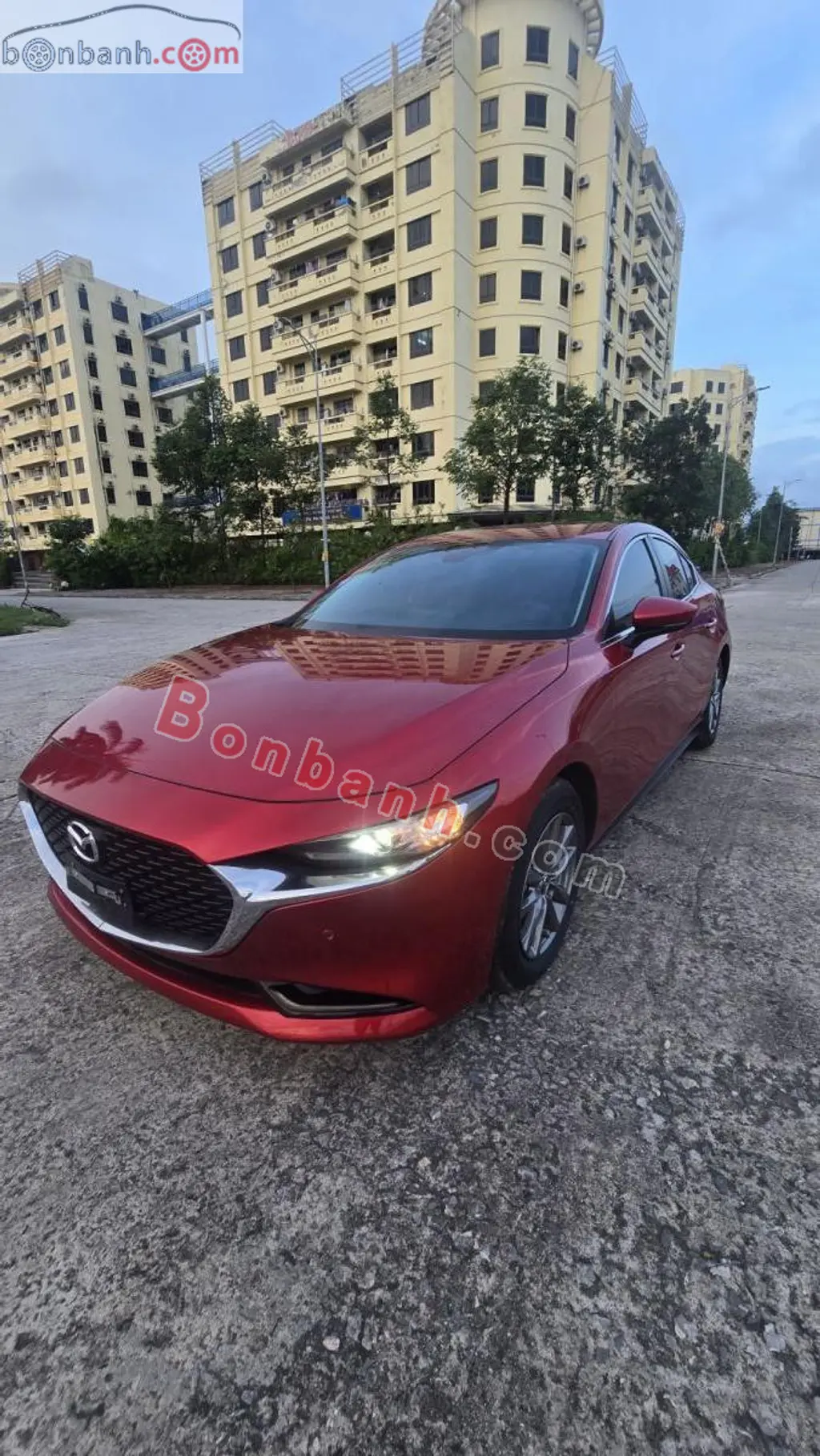 Hình ảnh số 2