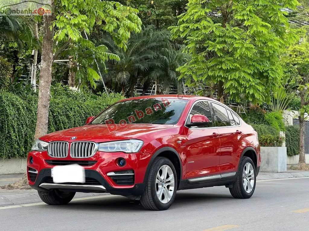 Hình ảnh số 2
