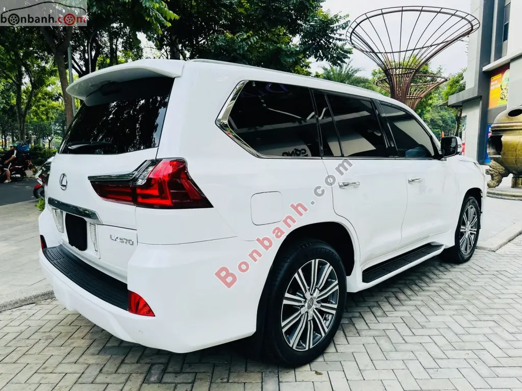 Hình ảnh số 2