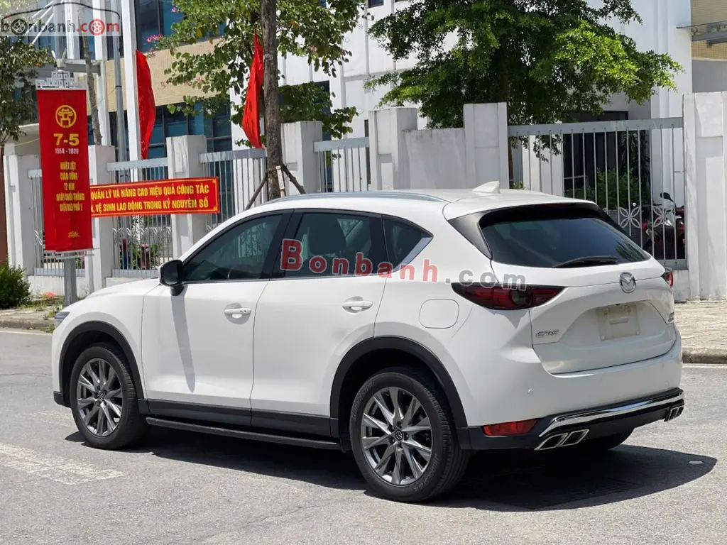 Hình ảnh số 5