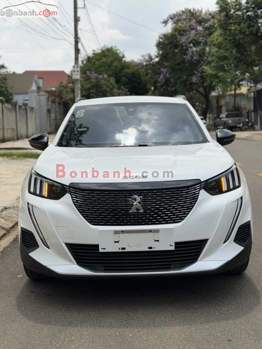 Hình ảnh số 3